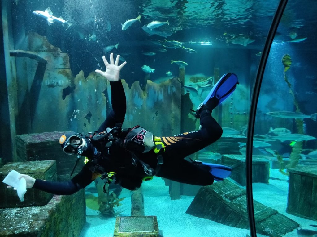 Bristol Aquarium is getting ready to re-open!