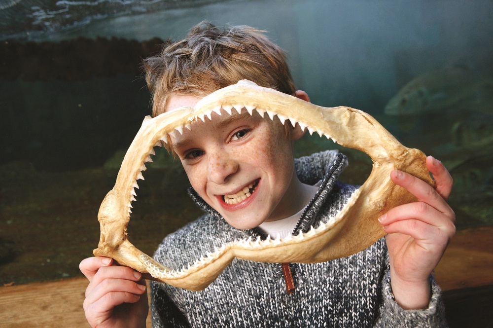 Welly Washing Fun at Bristol Aquarium