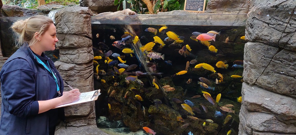 AQUARIUM COMPILES FISH-LIST FOR NEW YEAR STOCKTAKE