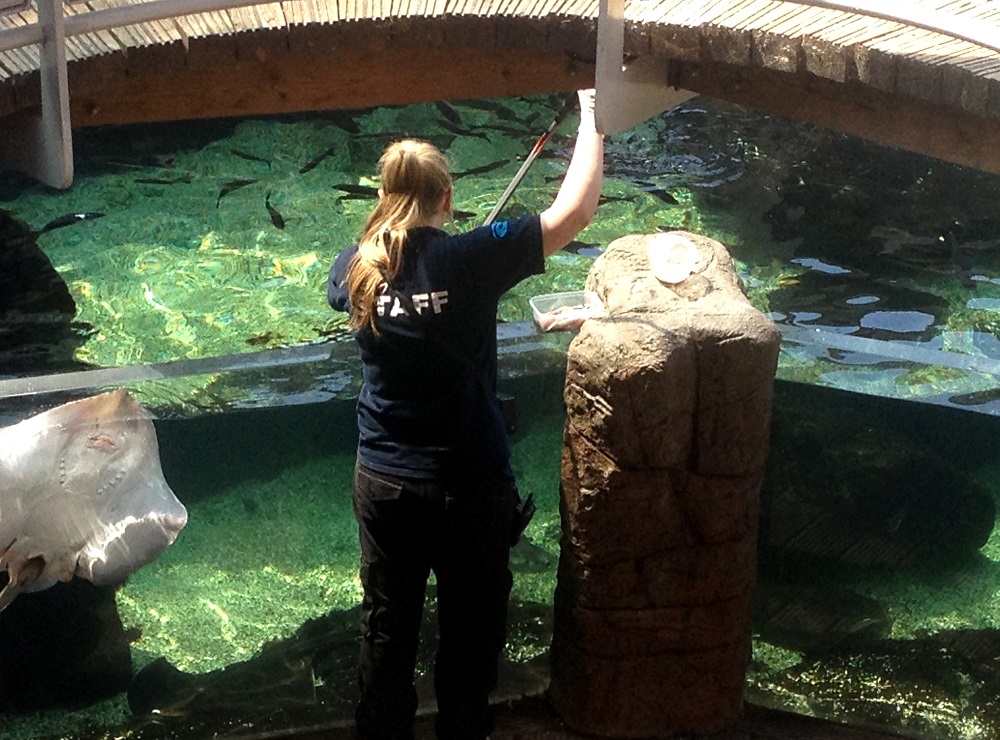 All female team of scientists at Bristol Aquarium