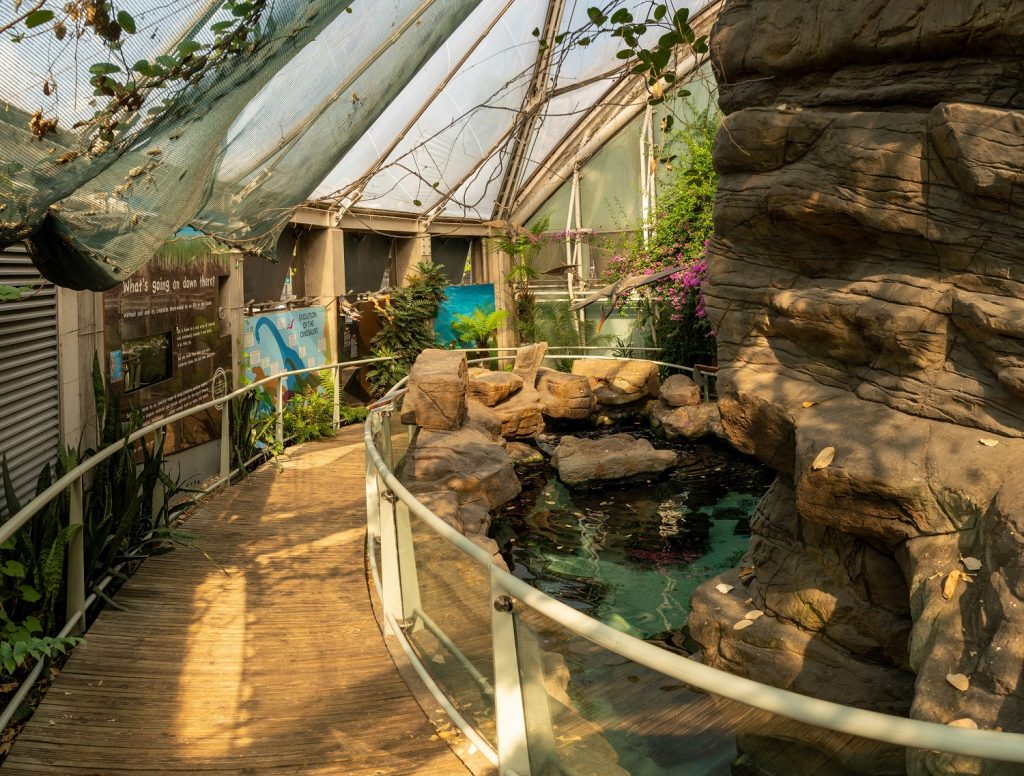 Get sugar smart this Easter with Bristol Aquarium